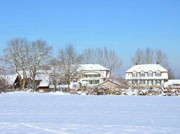 Foto Winter